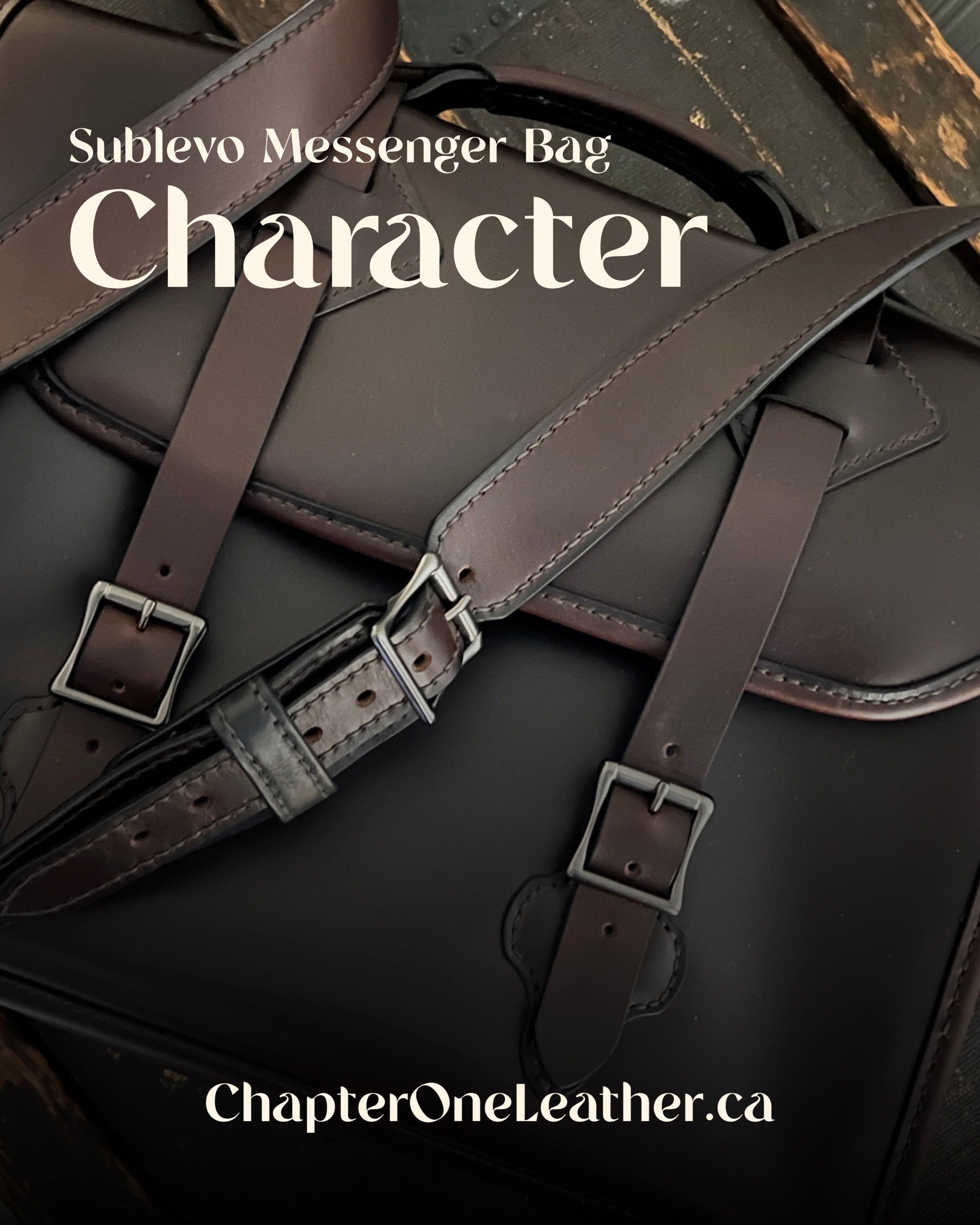 Sublevo Leather Messenger Bag (13V)